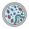Imagen de Cultivo - Antibiograma
