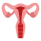 Imagen de Perfil ginecológico