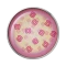 Imagen de Bacteroscopías (GRAM)