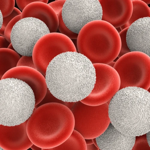 Imagen de: Celulas LE